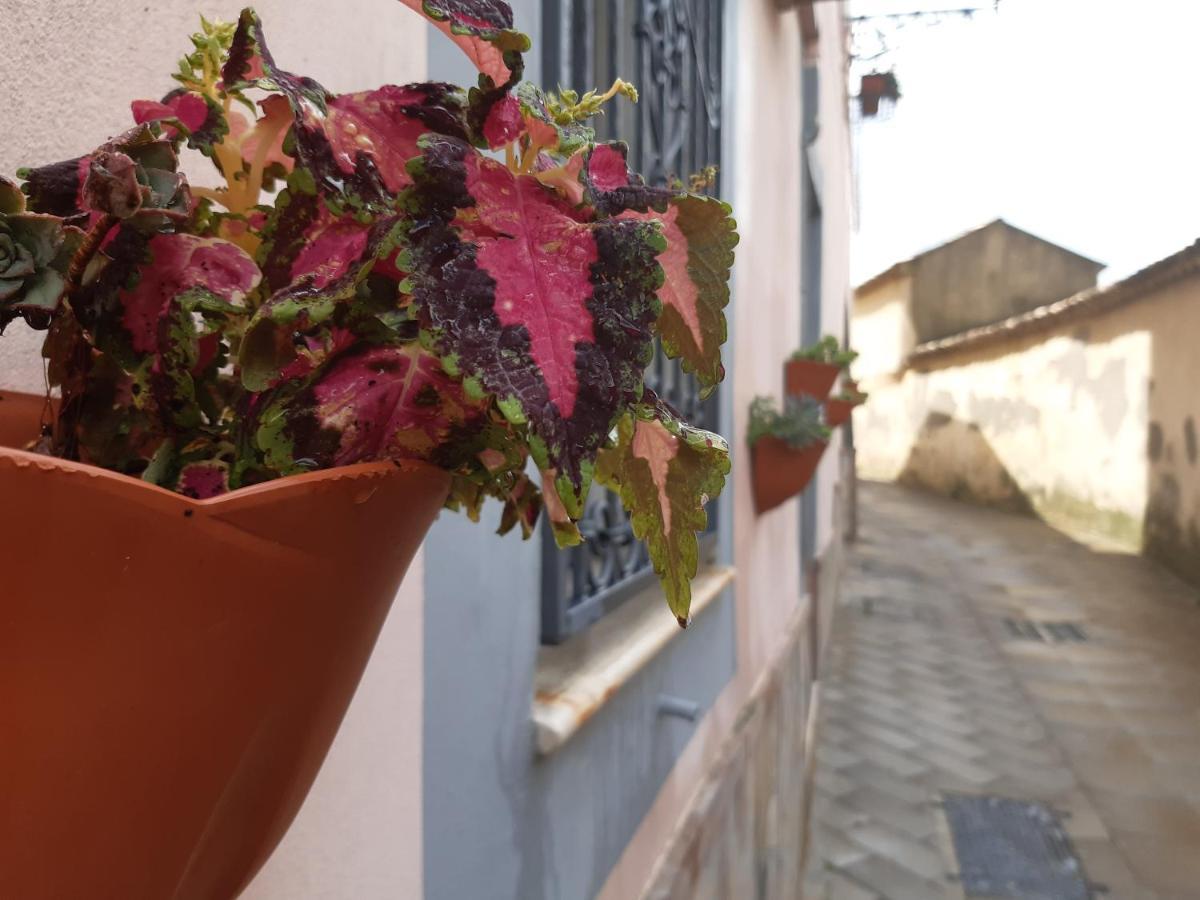 Appartamento Per Turisti Filoxenia Santa Severina Exterior foto
